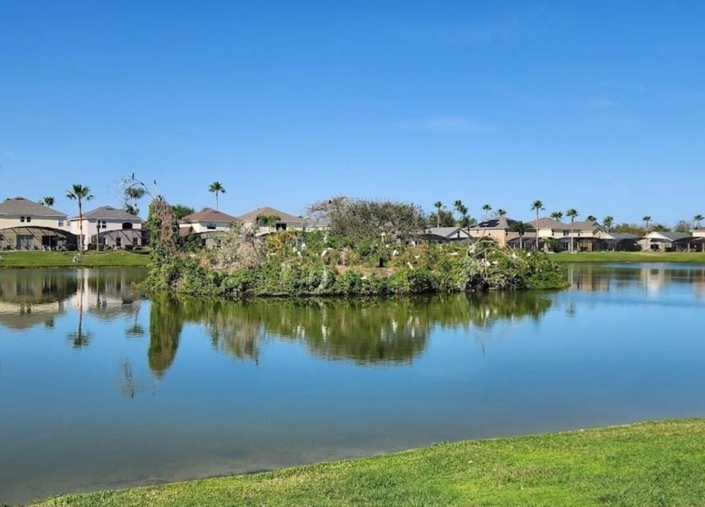 Relaxing, Private Family Home At Lake Berkley Resort, South Facing Pool, Near Disney, Seaworld Kissimmee Εξωτερικό φωτογραφία